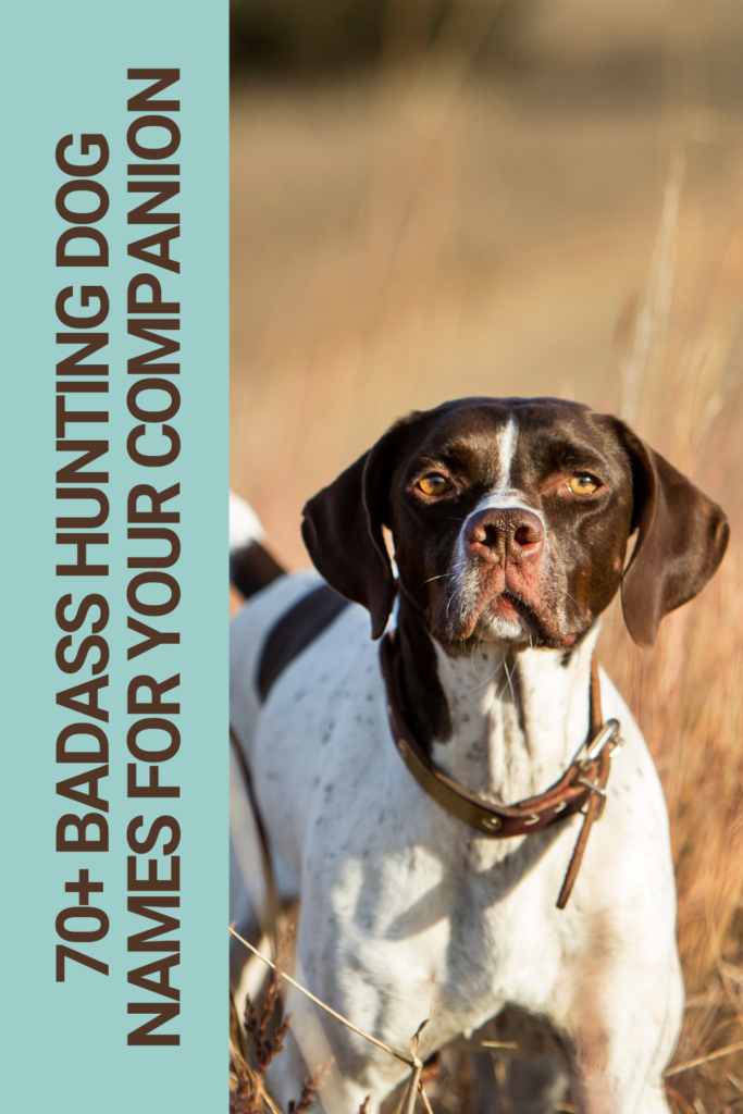 Duck Hunting Names for Dogs: Find the Perfect Name Here!