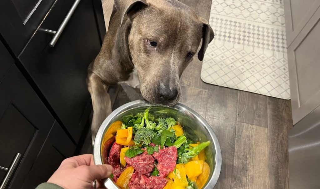 Collard Greens for Dogs: Benefits, Risks & How to Feed Them