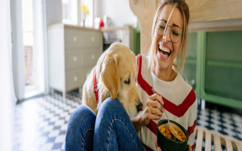 Best Dog Food Topper Liquid: Simple Way to Boost Flavor & Nutrition.