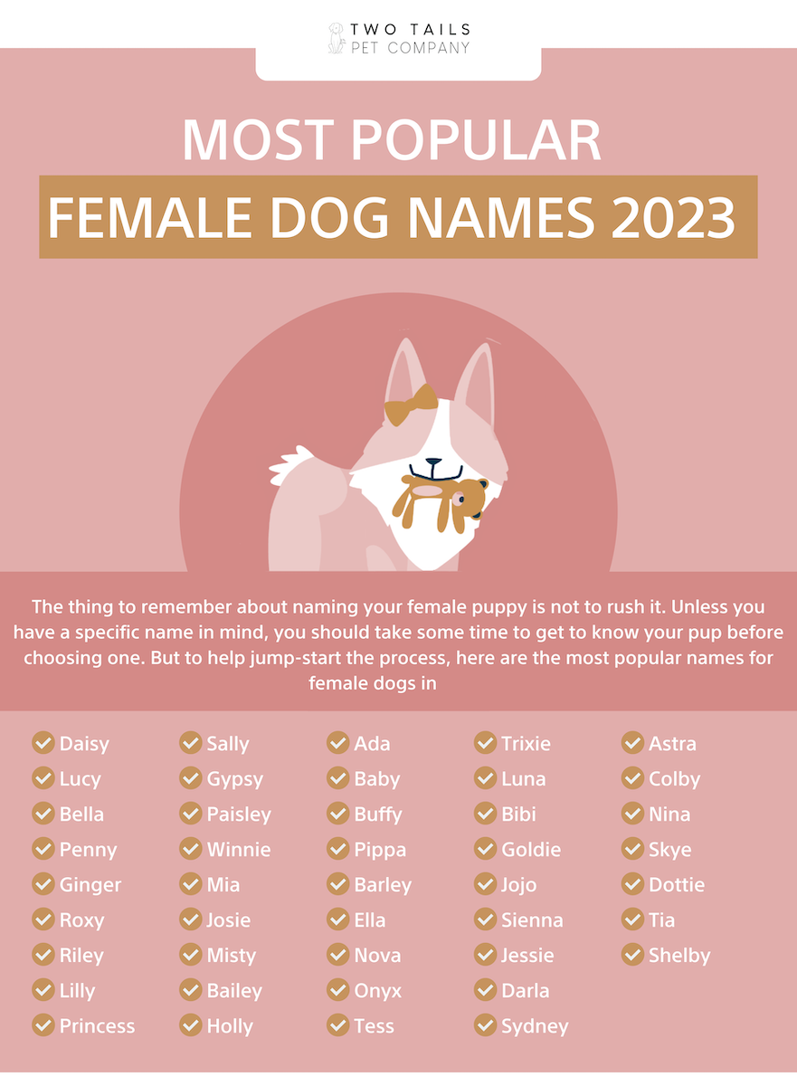 Blonde Dog Names: Get Inspired with These Sweet Ideas!