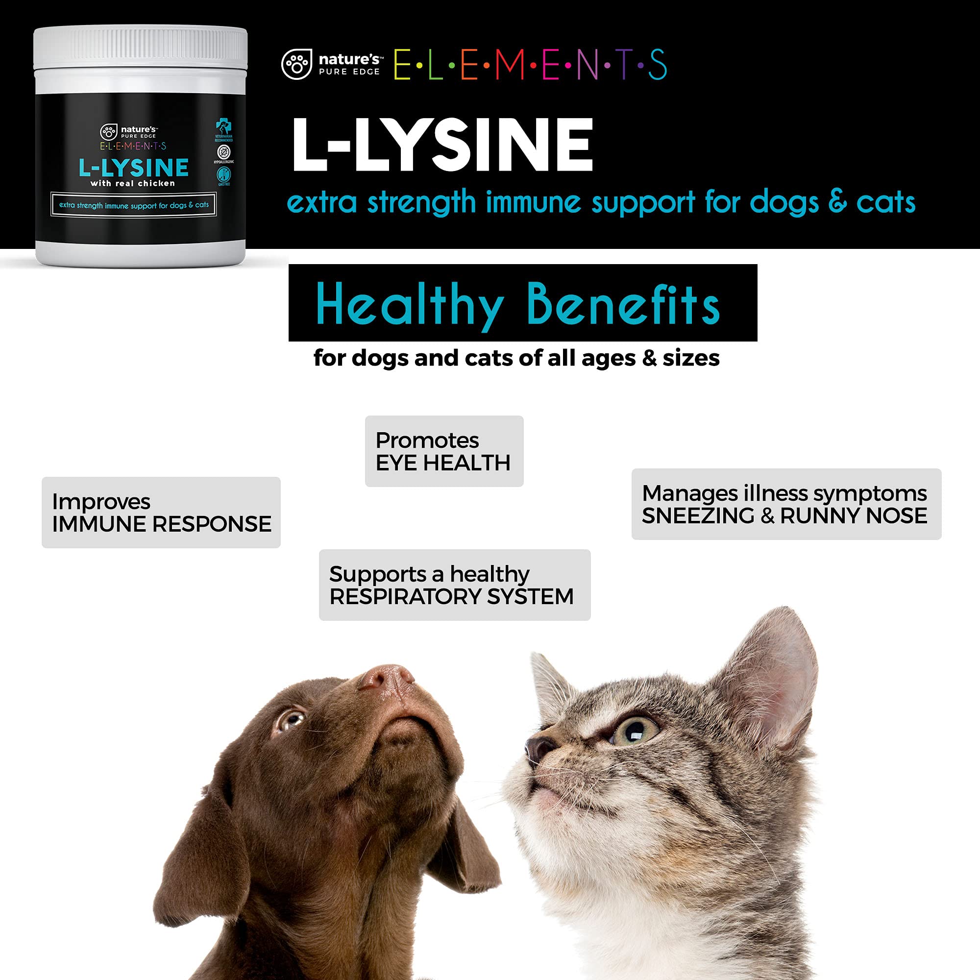 L-Lysine for Dogs with Herpes: Does it Really Work? (Vet Info)