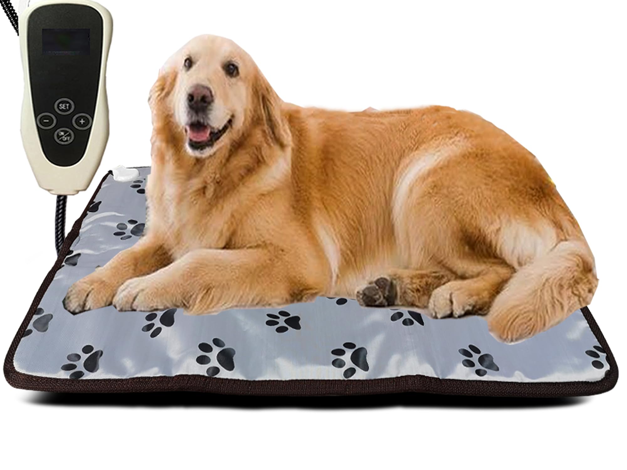 Heated Pad for Dog: Safe & Warm Options for Winter!