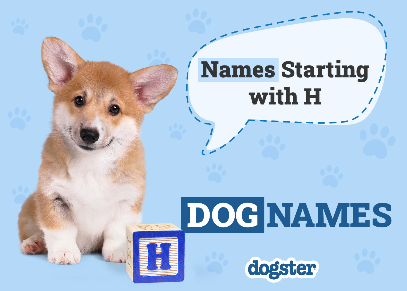 Cute Dog Names Starting With H: Find Your Perfect Puppy Name!