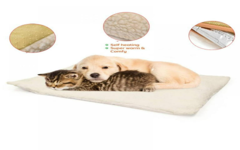 Best Self Warming Pad for Dogs? Cozy Comfort All Year!