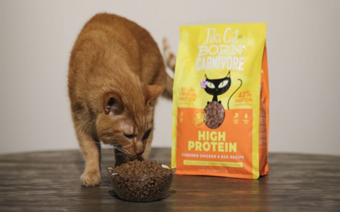 Tiki Dog Food Dry: Pros & Cons, Plus Top Alternatives!