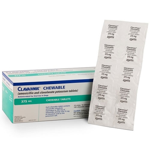 Get Clavamox Chewable for Dogs 375 mg: Fast Infection Relief.