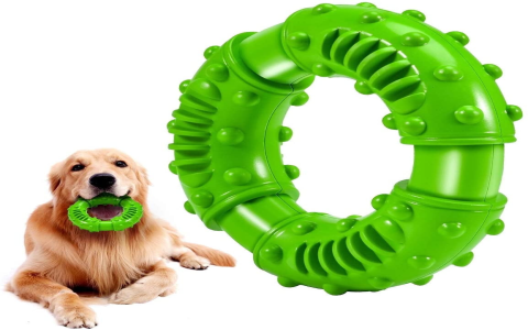 Best Chew Toys for Large Dogs: Durability and Safety Guide