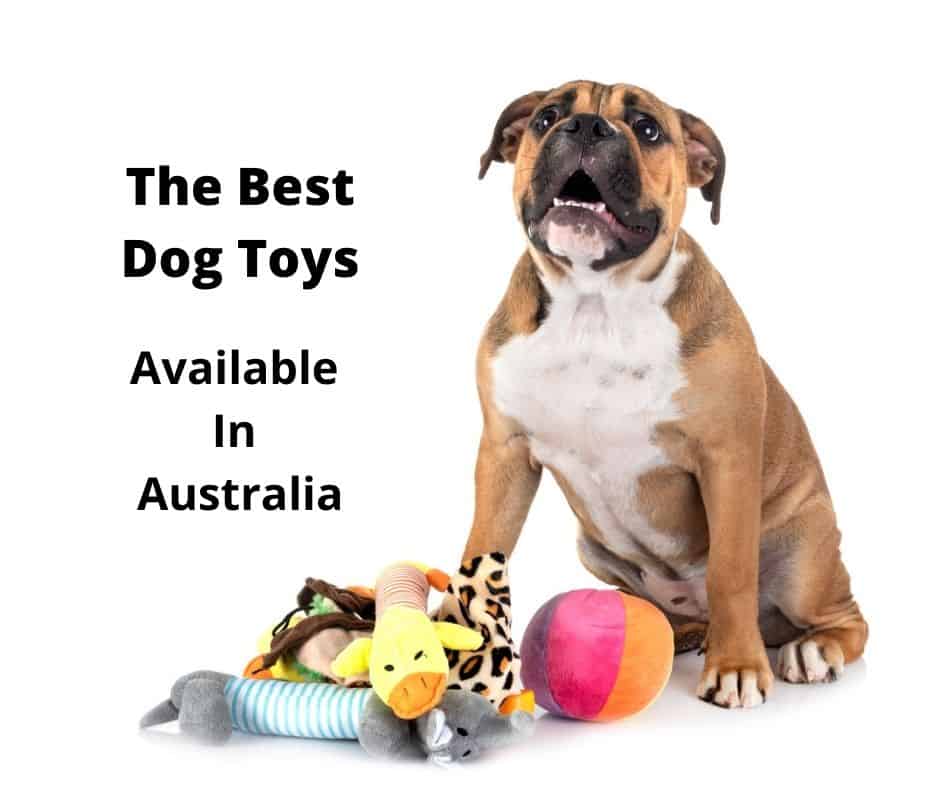 Australian Dog Toys:Safe&Fun, Shop Our Top Choices!