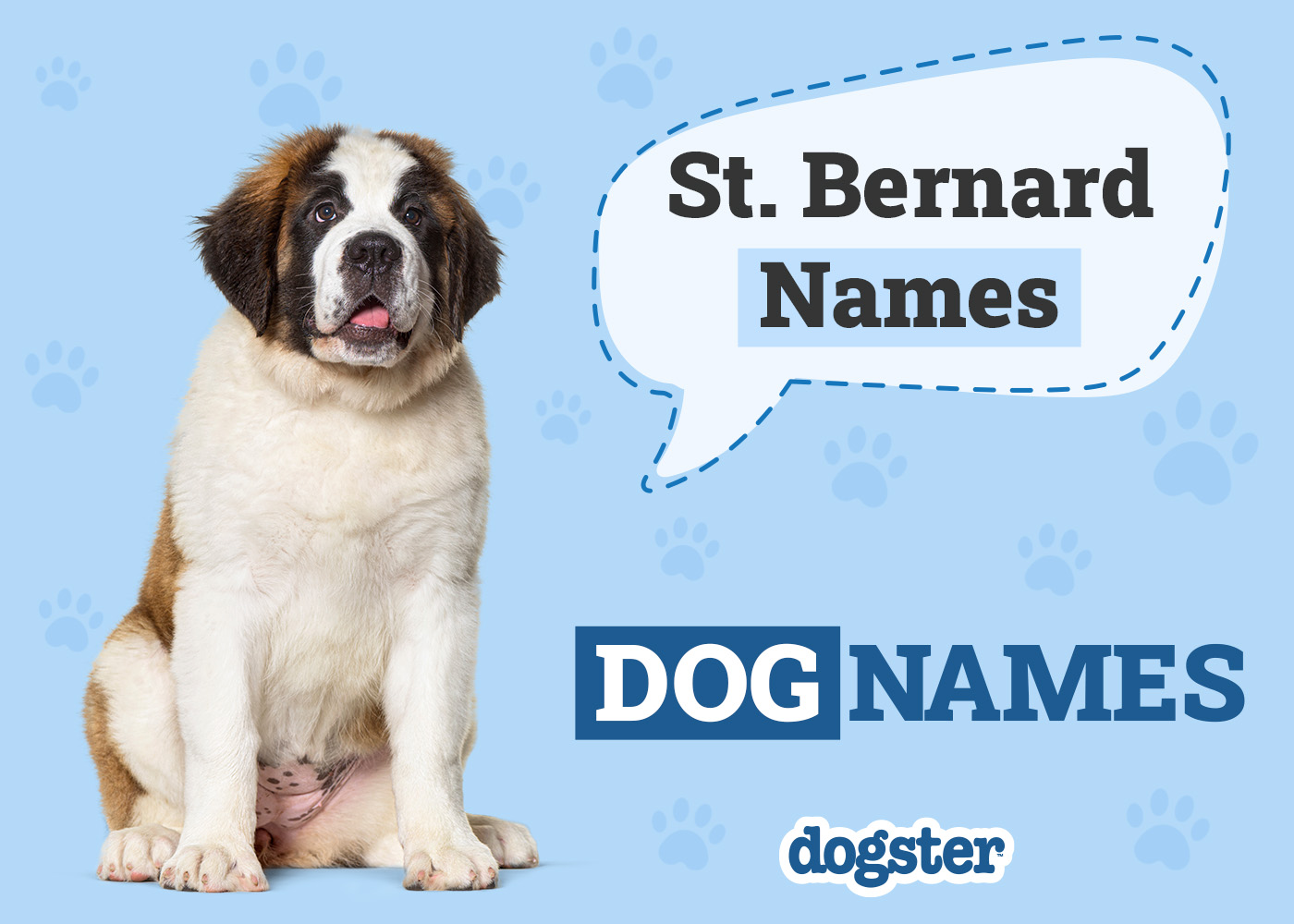 Unique Dog Names Saint Bernard: Stand Out From the Pack!