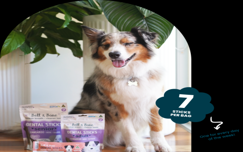 Best Duck Sticks for Dogs: Top Brands and Buying Guide!