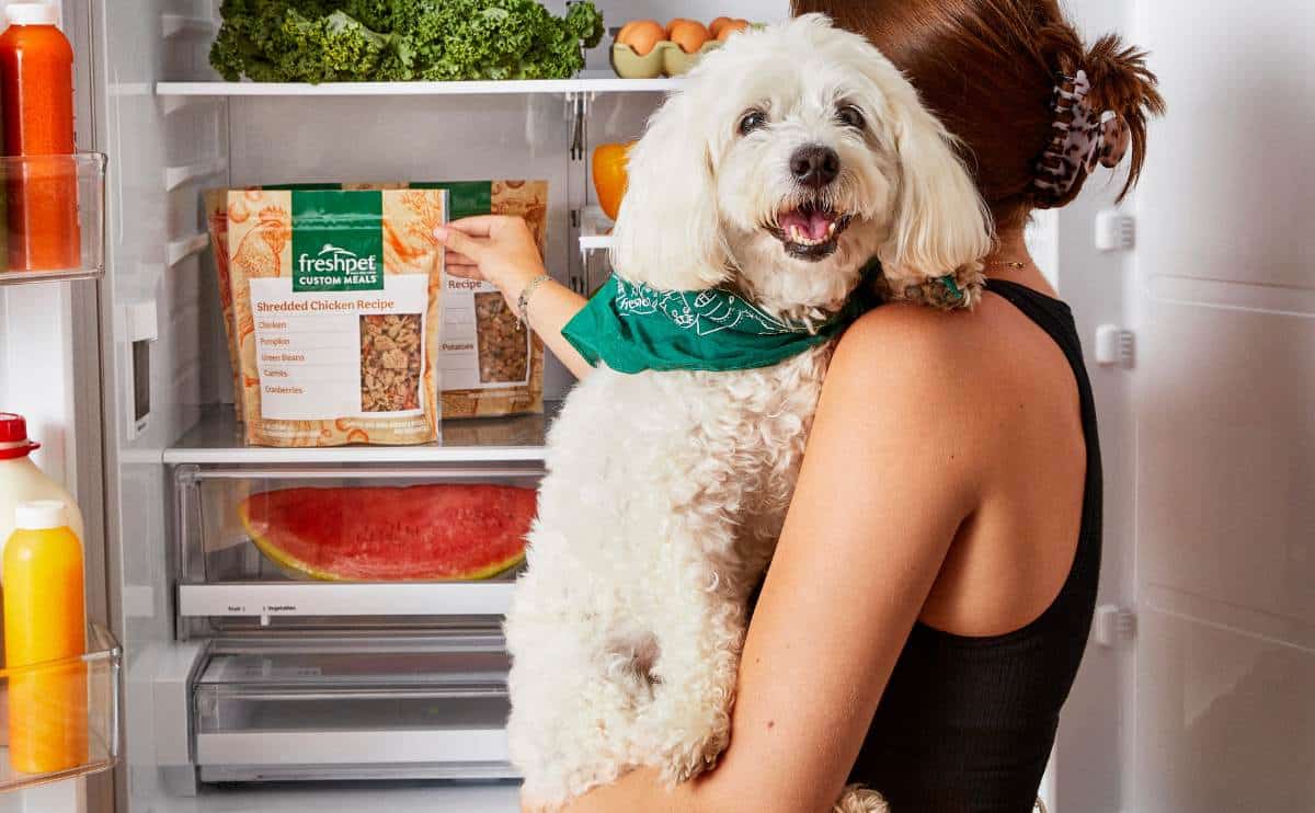 Fresh Pet Dog Food Cost: Is It Worth the Money? (Price vs. Benefits)