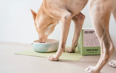 Wondering who makes Kibbles and Bits? Get the answer here!