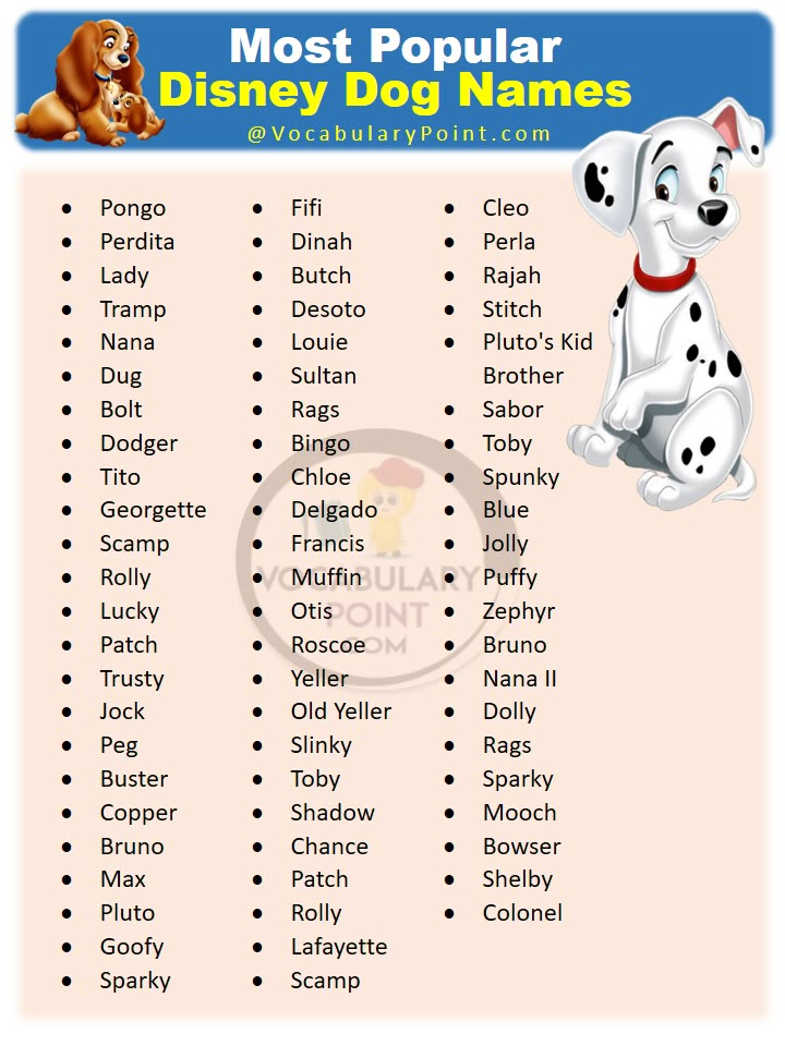 Mickey Dog Name: Cutest Picks & Disney-Inspired Ideas!