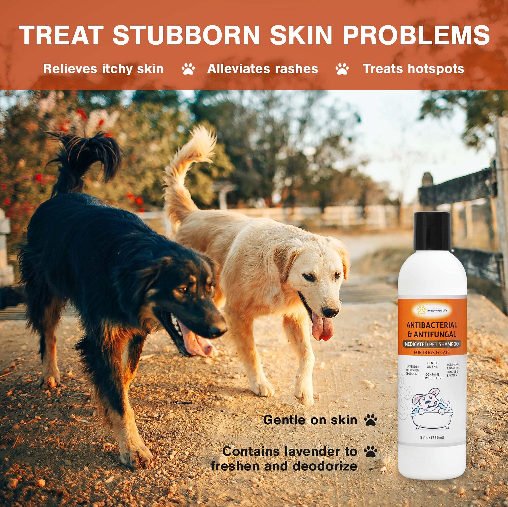 Dog Skin Problems? Vet-Recommended Lime Sulfur Shampoo Solutions