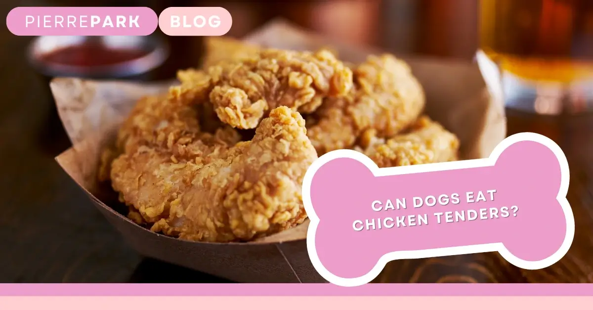 Can Dogs Eat Chicken Strips? Benefits and things be aware of.