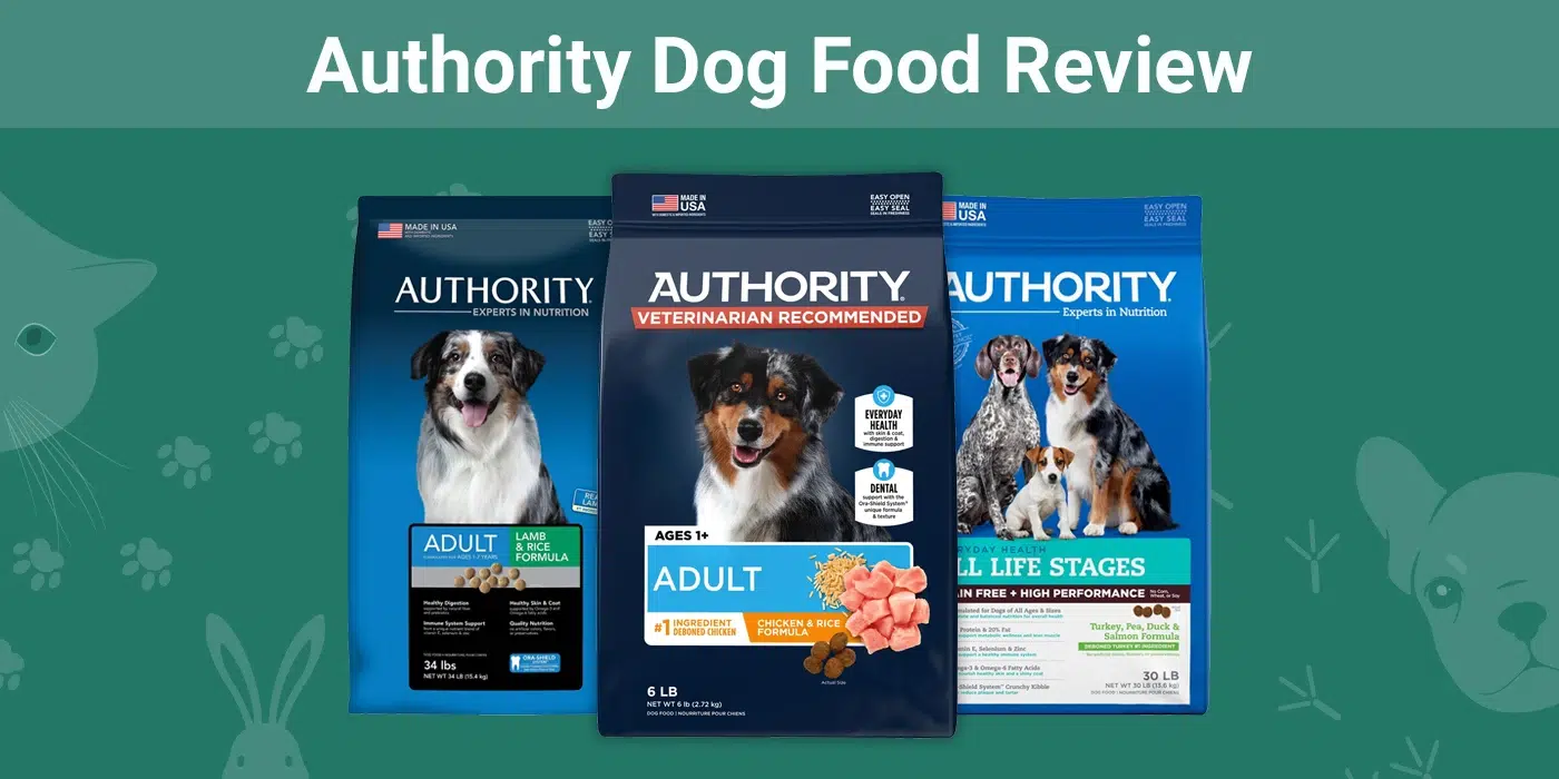 Is Authority Dog Food Grain Free? Pros & Cons of This Brand!