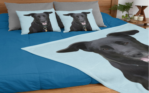 Understanding why does my dog nibble blankets with his front teeth: Is it anxiety or just for comfort?