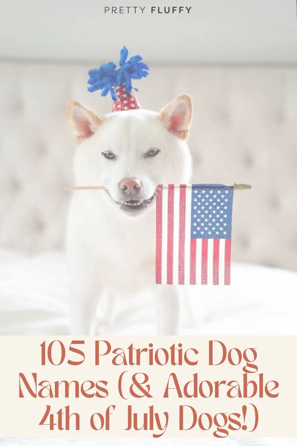 Best Fourth of July names for dogs: What are some cool choices for your pup?