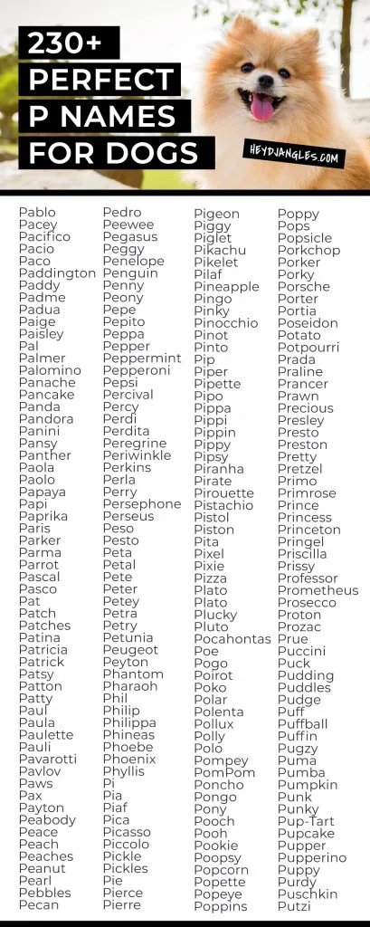 What are some cute puppy names that start with p? Check out this list for both boy and girl dogs.