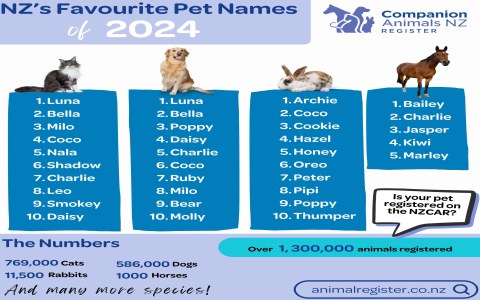 Searching for the best patriot names for dogs? Explore our top picks that sound heroic and strong for your pet.