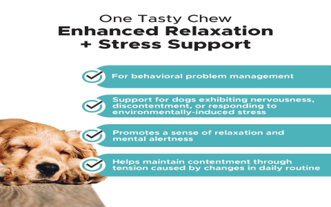 When should you use melatonin drops for dogs? Learn if they can truly help with canine sleep or anxiety problems.
