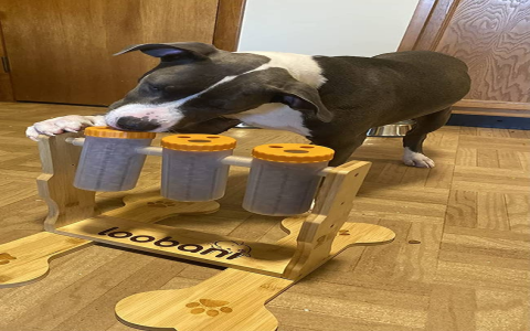 Looking for a fun toy dog that licks? Check out this guide to the top models.