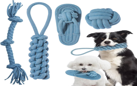 Need a top rated durable rope dog toy? These are the popular picks that dogs absolutely love.