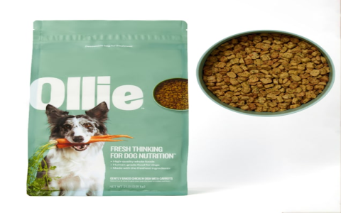 Searching has Chewys quality of dog food decreased? (Get the real facts and honest owner feedback today)