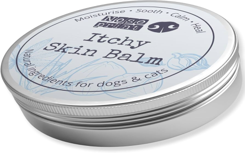 Does anti-itch cream for dogs actually work fast? See how these products soothe irritated canine skin effectively.