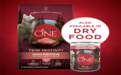 The Benefits of Instinct Salmon Dog Food for Dogs