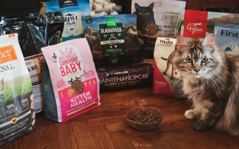 Thinking how good is Fromm dog food? Find out what veterinarians say about this popular brand.