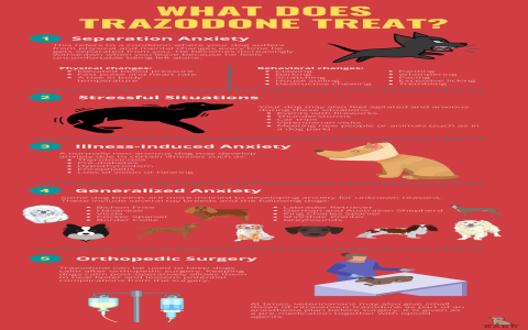 Trazodone for Dogs No Vet Prescription Needed? Heres What to Know