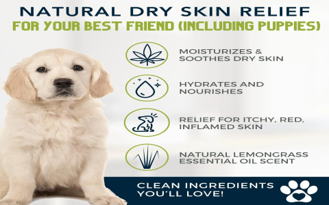 Searching for a natural eczema cream for dogs? Discover these gentle yet highly effective options for sensitive dog skin.