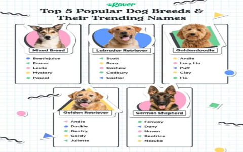 Best wheaten dog names for your new pet? Explore top choices that match their charm.