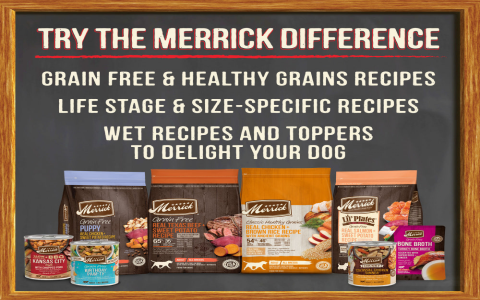 What do Merrick wet dog food reviews truly reveal about quality? See real feedback from dog parents now.
