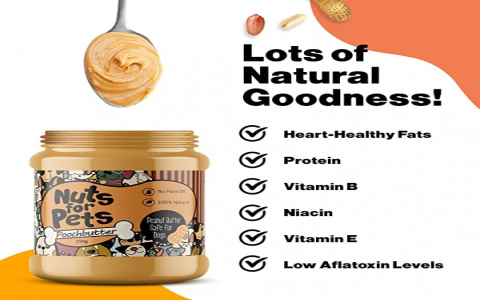 Healthy Peanut Butter Sticks for Dogs: What to Look For?