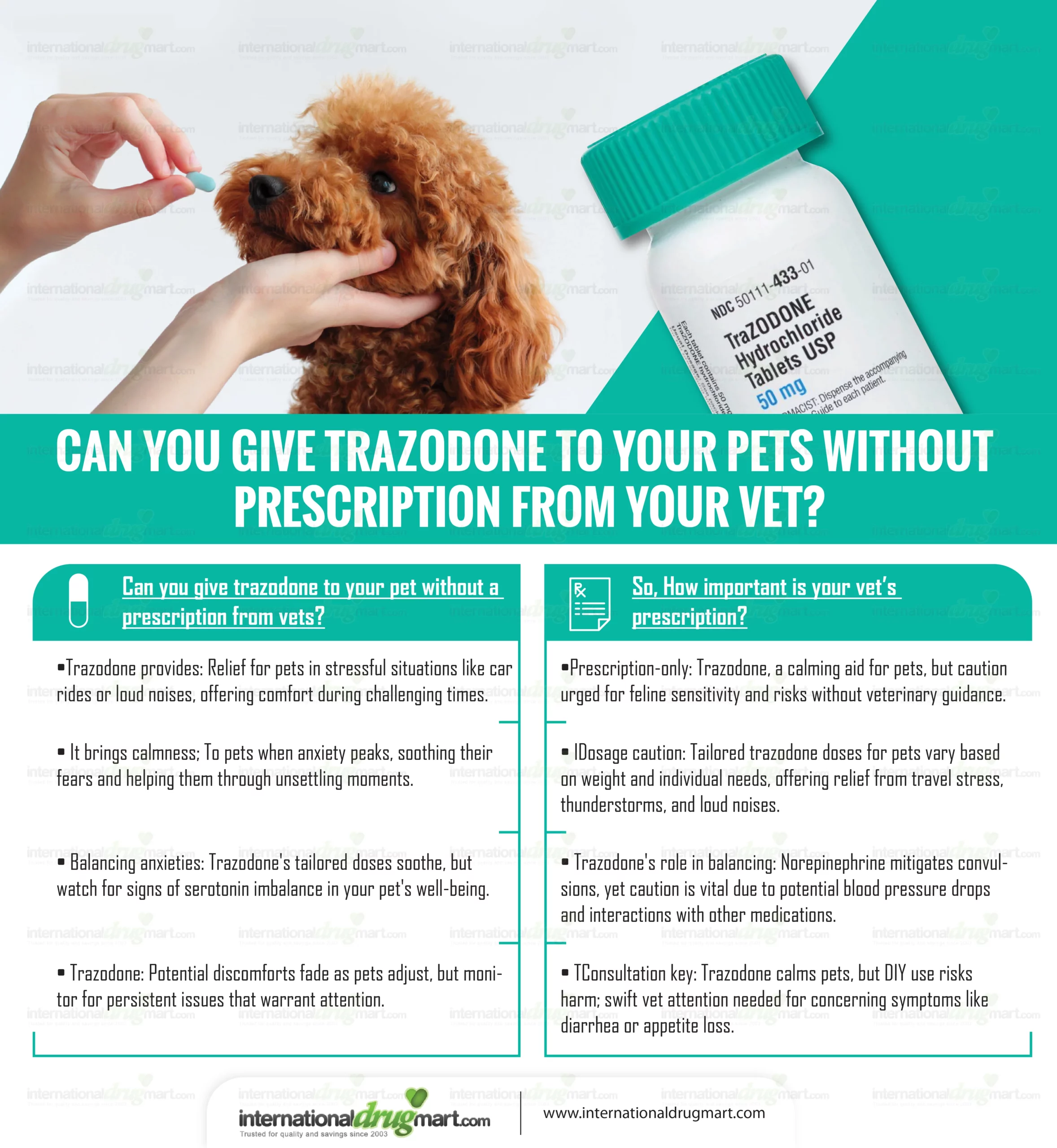 Trazodone for Dogs No Vet Prescription Needed? Heres What to Know