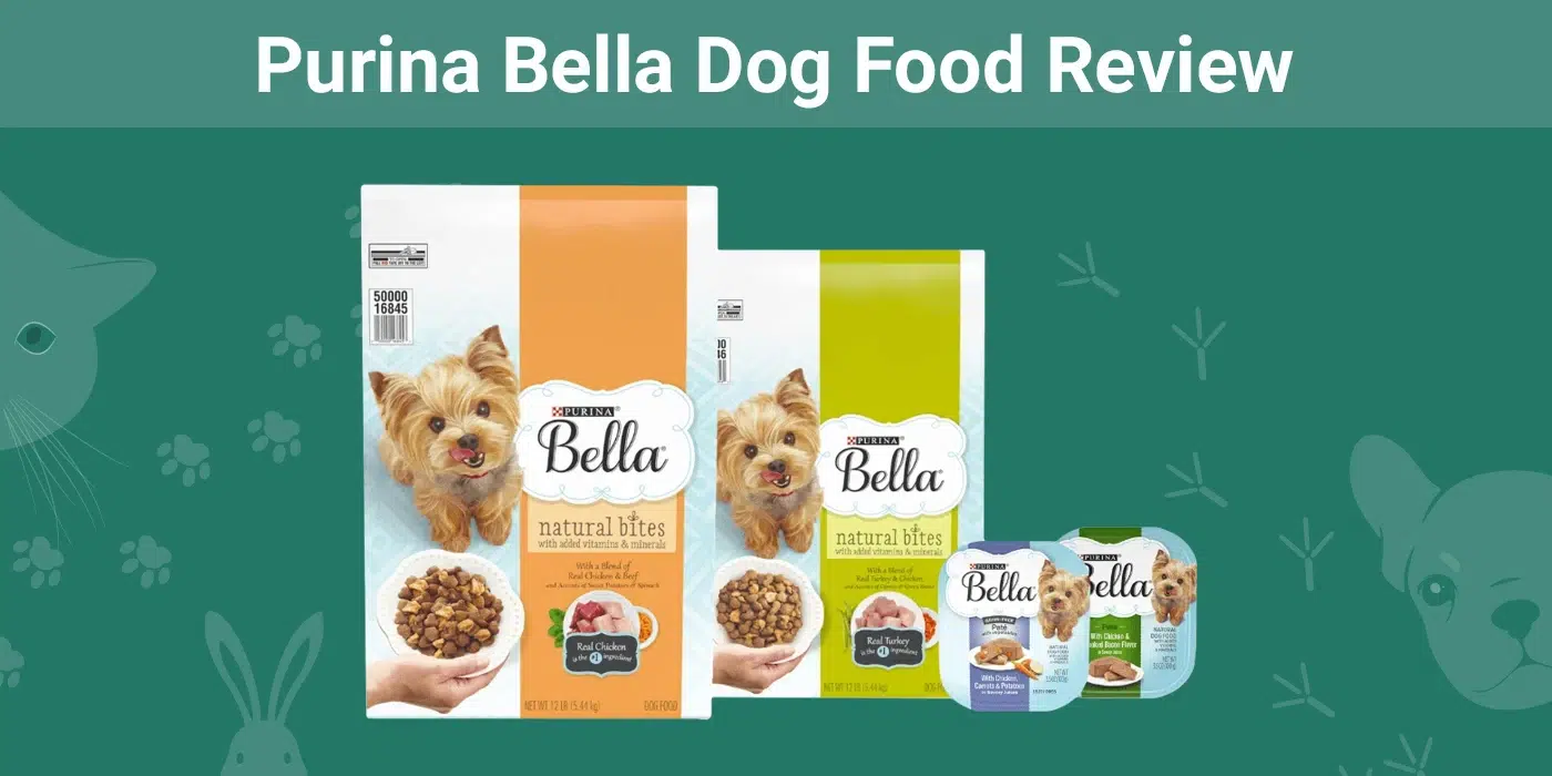 bella wet dog food: pros and cons now.